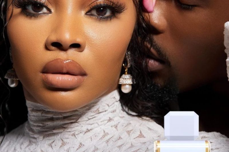 Toke Makinwa’s New Perfume Line, ‘DIVE’, Launches on 04/28/24